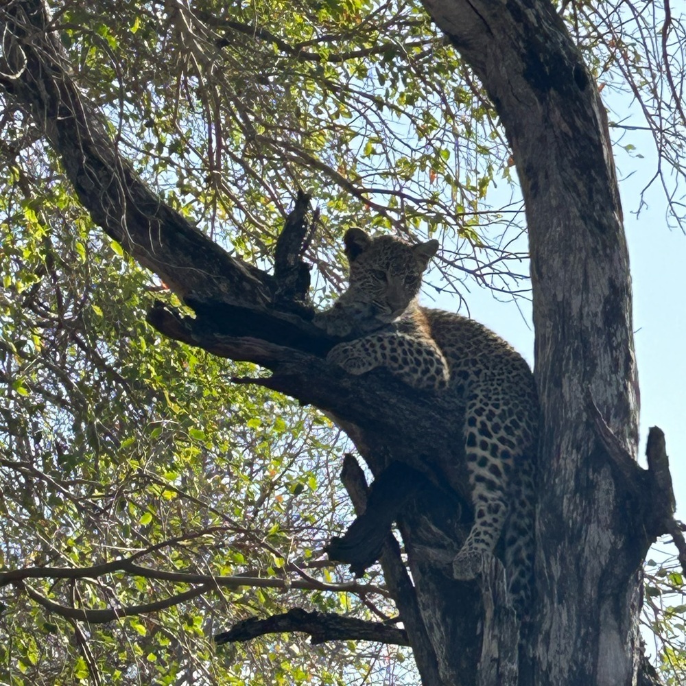 Meet your Posher, Liam